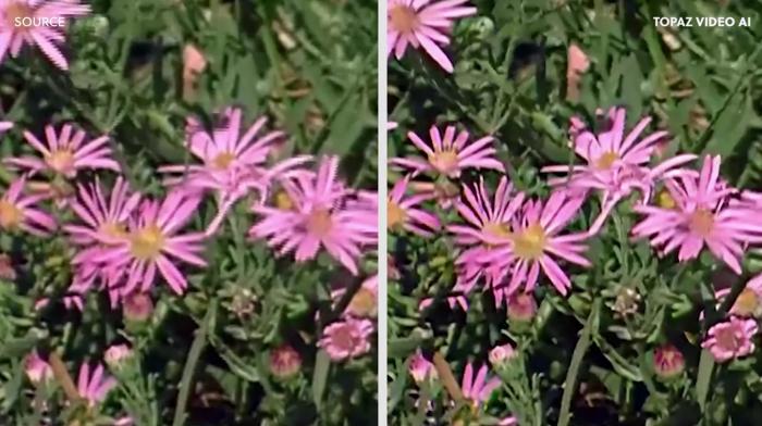 topaz video AI enhancing feature